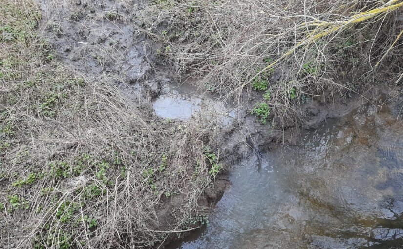 Raw sewage leak into Bourn Brook