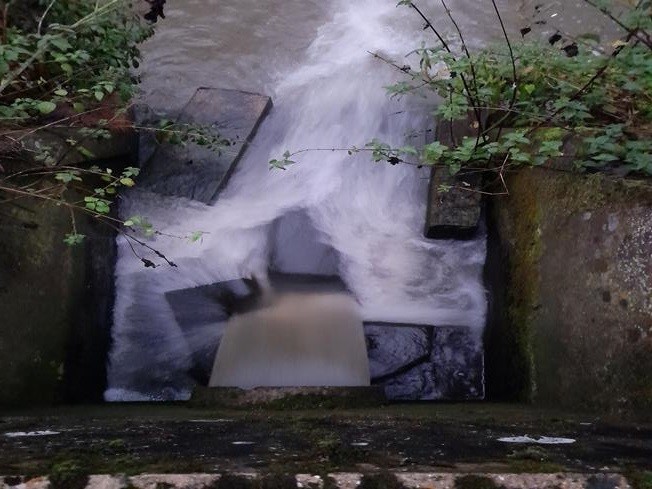 Dramatic increase in Sewage spills into River Cam