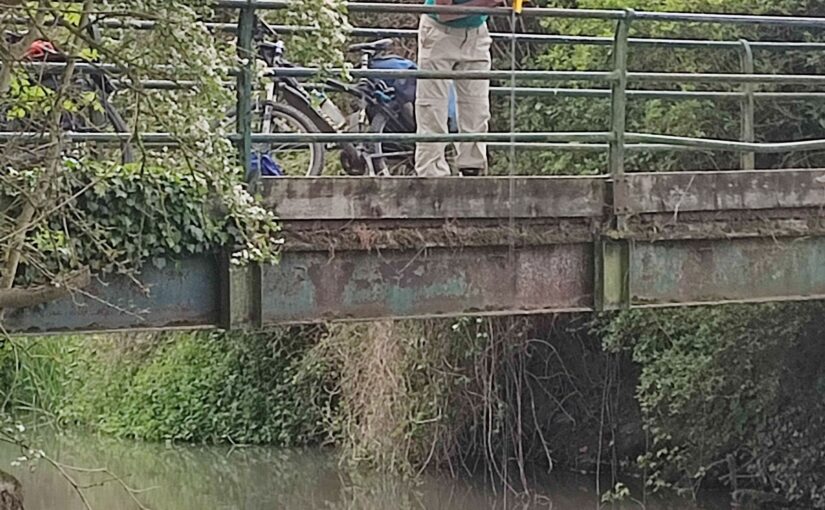 Press release: : The Mystery of the Murky Rhee Solved?